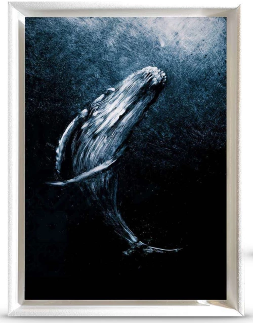 talking whales - CLEMENT LESAFFRE